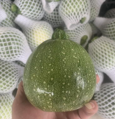 花皮南瓜46两扁圆形