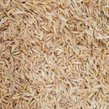 压缩稻壳，打包稻壳，酿酒，养殖，种植，长年供应