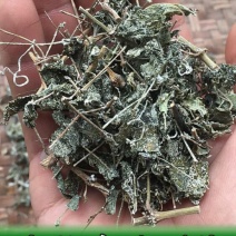 高山野生藤茶