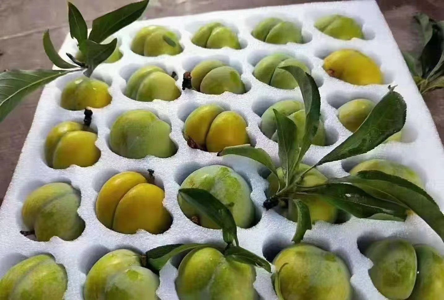 一张桌面拍摄图,展示三种不同规格的晚熟蜂糖李包装:左侧为透明塑料托盘装(500g),中间为木质礼盒(2kg内衬海绵格),右侧为环保纸盒配品牌LOGO,旁边摆放切开的果实展示果肉状态,整体风格高端简洁 晚熟蜂糖李包装与礼盒展示