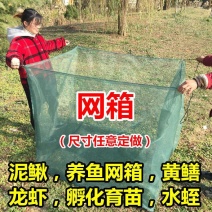 养殖网网箱养虾鱼苗网箱养鱼存鱼暂养加盖小型存鱼网箱水产养