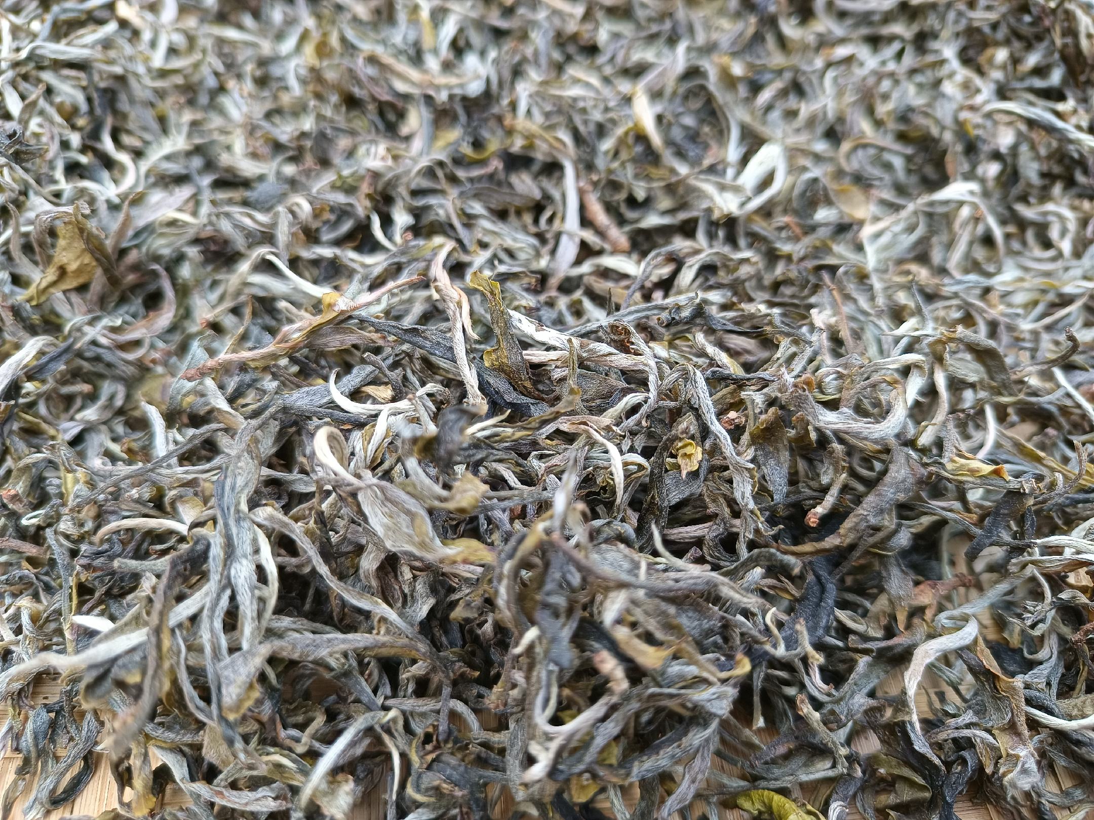 茉莉花茶成品展示