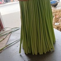 邳州精品小红帽大量上市中价格低气质好邳州精品小红帽大量上