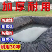 鱼塘防渗膜加厚全新料土工膜鱼塘专用防水膜鱼池防水布黑色塑