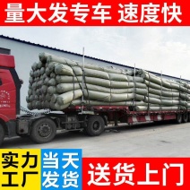 土工布工程布白色透水保湿桥梁水泥路面公路养护