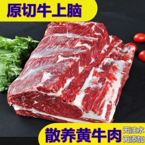 原切牛上脑肉国产新鲜牛肉批发无添加冷冻大块牛肉清真涮炒煎
