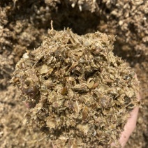 广东湛江新鲜的菠萝皮压榨出来用来发酵好的菠萝渣牛饲料