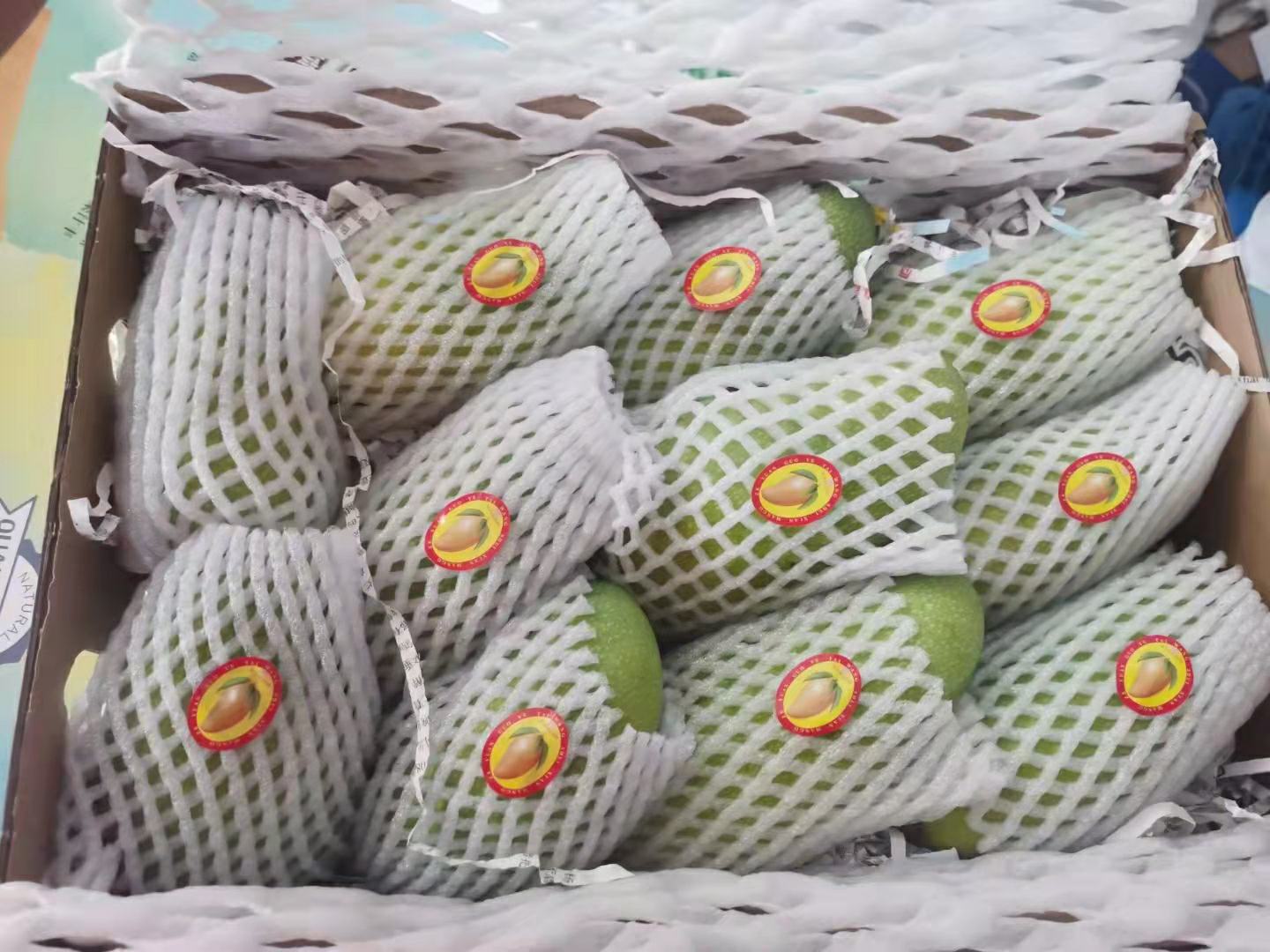 金煌芒12月礼盒装实物图