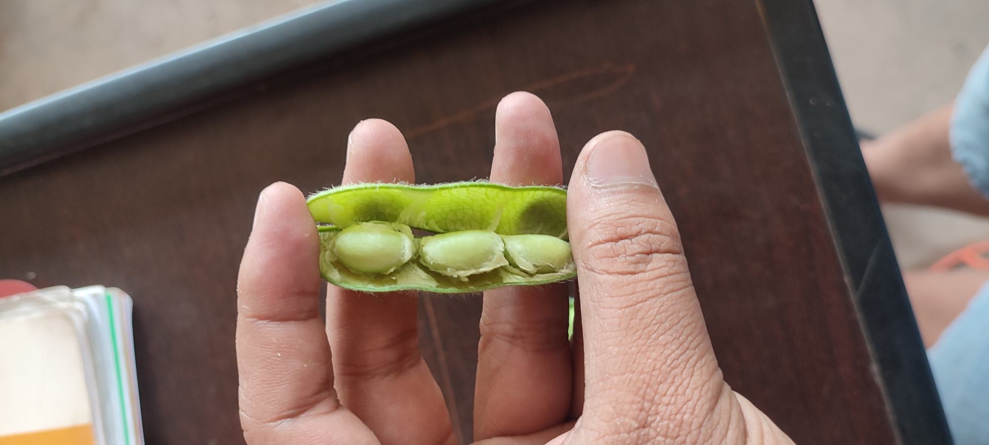 新鲜毛豆剥壳过程示意图