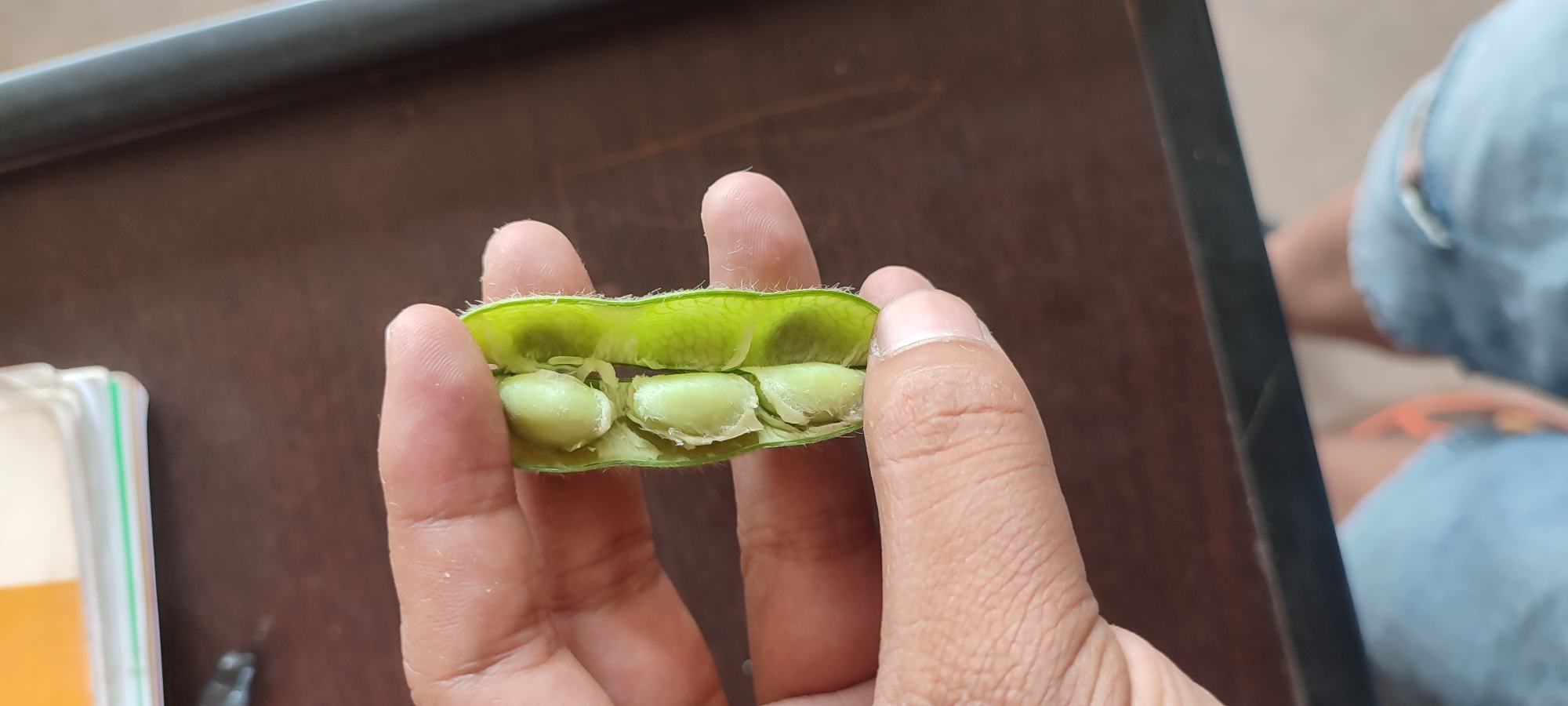 毛豆中的植物雌激素结构示意图