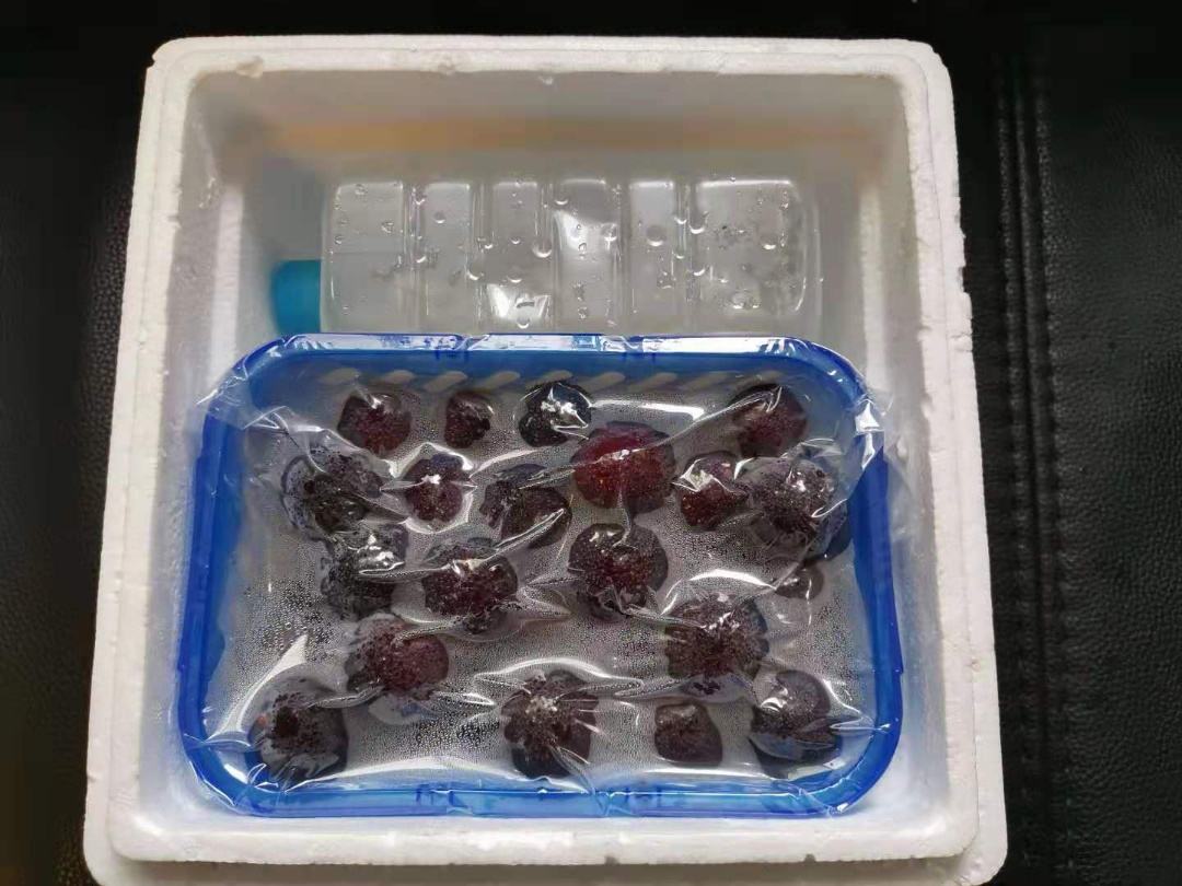 一组分步示意图展示家庭冷冻保存东魁杨梅的过程:第一步清洗晾干;第二步单层摆放在托盘中;第三步冷冻定型;第四步装入密封袋并标注日期。背景为厨房操作台,光线明亮清晰 家庭冷冻保存东魁杨梅步骤图