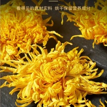 菊花金丝皇菊一个一杯茶泡水去火喝菊花地道中药材
