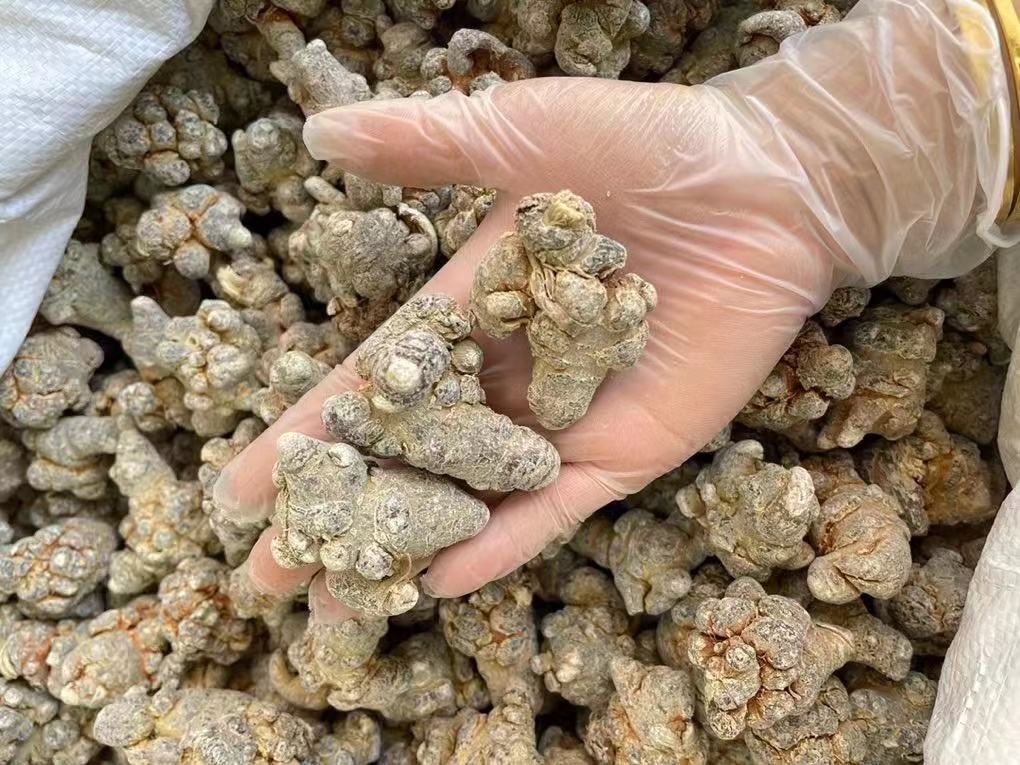 三七选购指南