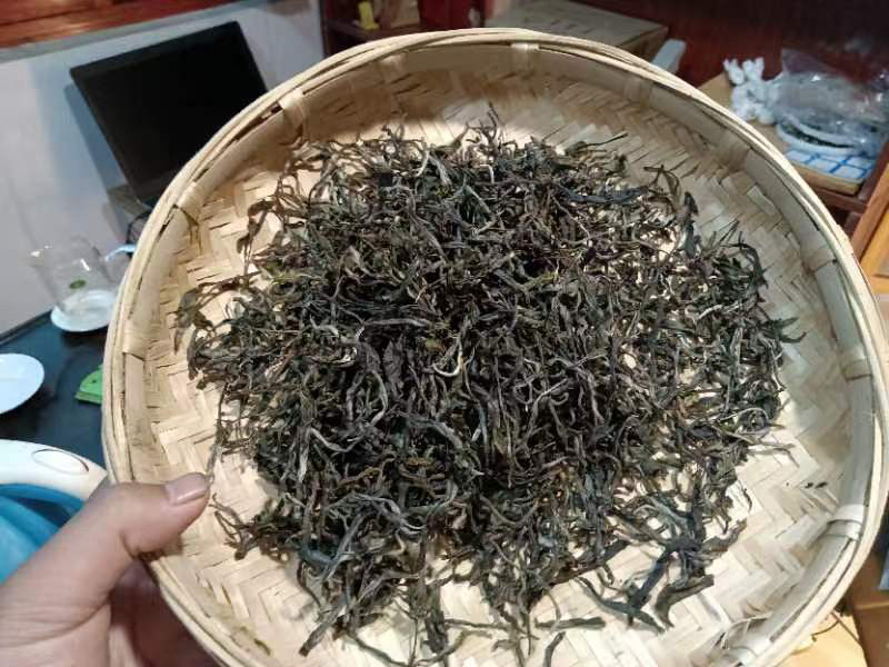 油松与赤松松子及松针茶实物对比