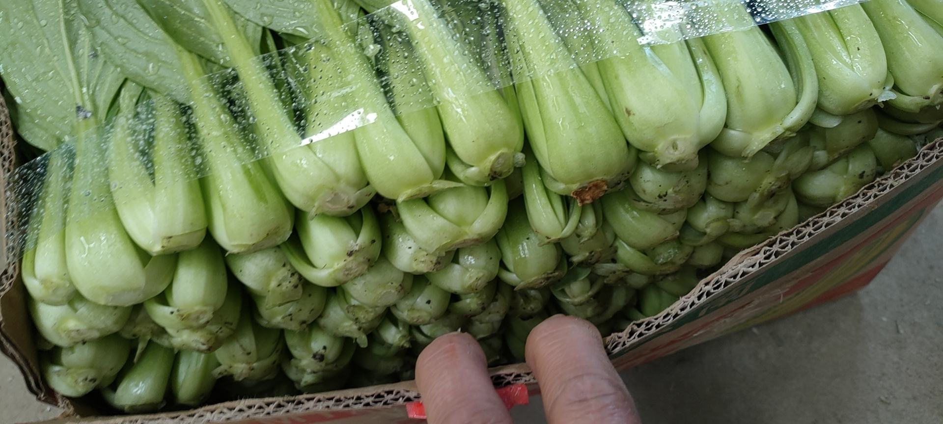 消费者在超市挑选青提的场景