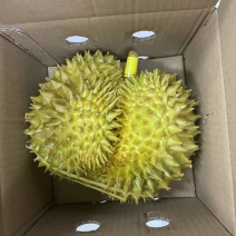 规格齐全榴莲一手货源