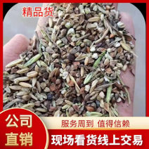 【热销】五谷小杂粮适用于饲料厂添加，养殖户用