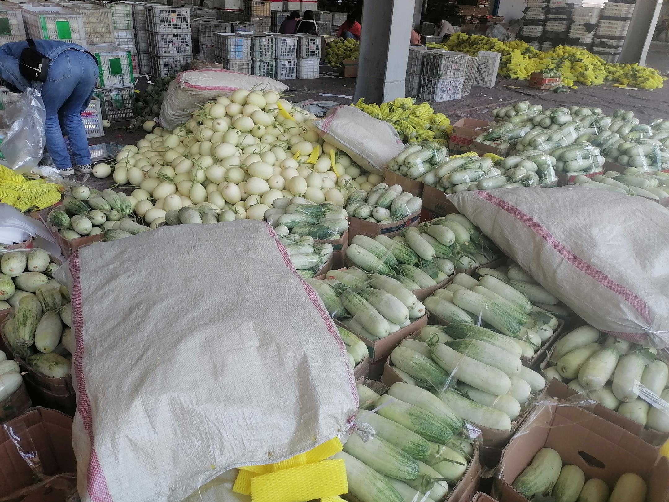 伽师瓜品牌包装现场,工人正在对伽师瓜进行分级包装,并贴上地理标志认证标签 伽师瓜品牌包装与物流现场