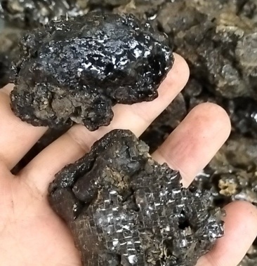 产地直销野生药材猴结血灵脂猴竭猴结