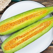 现摘莘县天鲜优选博洋甜瓜新鲜水果当季羊角蜜瓜脆瓜绿肉红壤