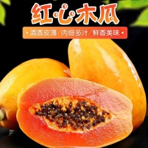 广西高山红心木瓜/一件代发/肉质细腻/肉厚丝滑满口溢汁