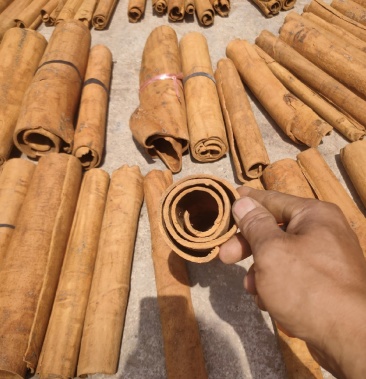 1斤起发包邮刨皮桂皮黄通自采生晒广西平南桂皮