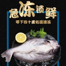 开背巴沙鱼整条湄公鱼烤鱼纸包鱼无刺龙利鱼凌波鱼腌制鱼整箱
