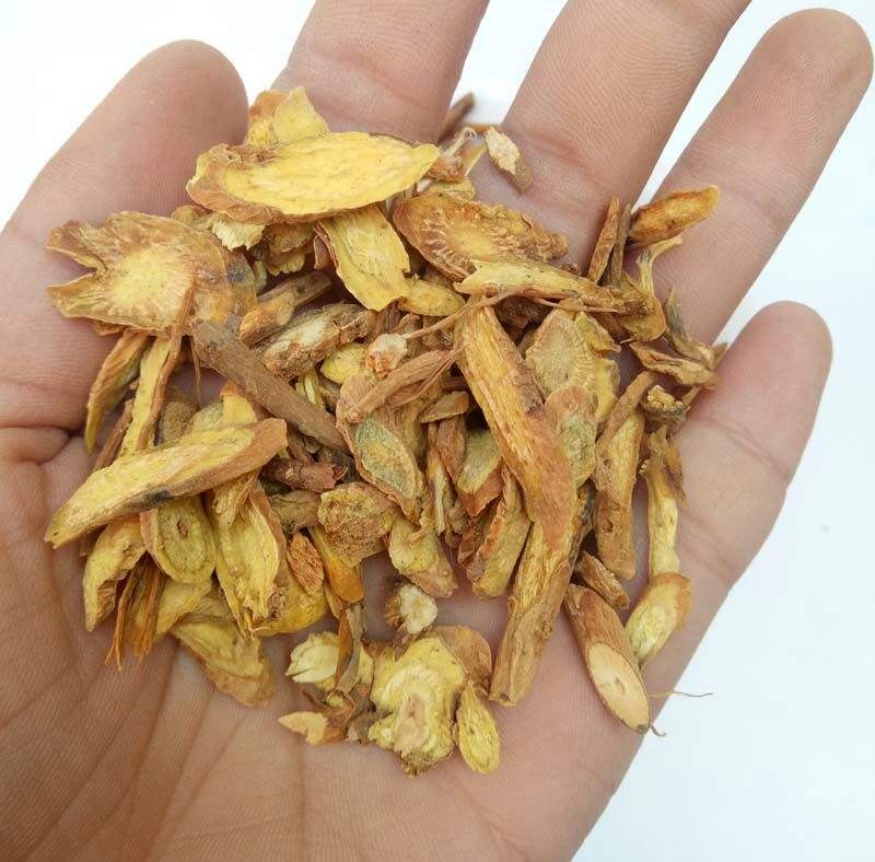 干燥的洒黄芩切片呈不规则片状,表面棕黄色至深黄色,质地坚硬,断面显纤维性结构,可见明显的放射状纹理,边缘略有焦糖化痕迹,体现酒炙工艺特征 洒黄芩药材特写