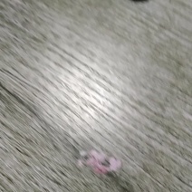 木屑