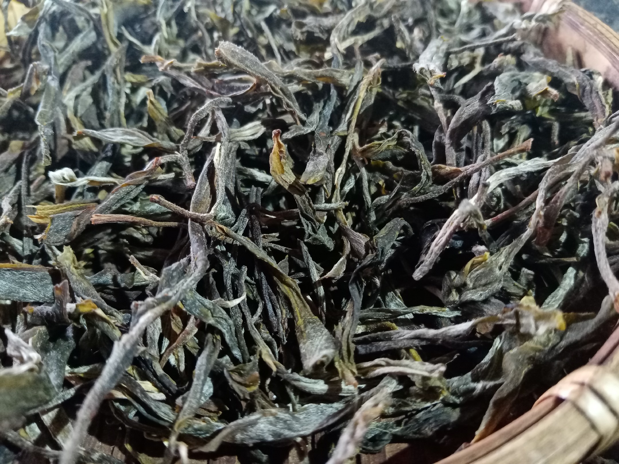 显齿蛇葡萄藤茶冲泡图