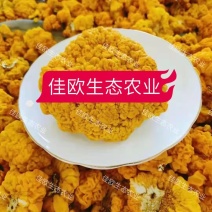 金耳种植，，药食两用包技术，上门回收，当时算清