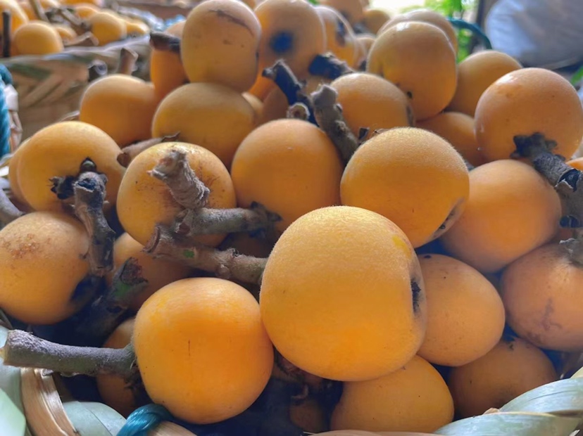 图中展示一张枇杷营养成分的图表,列出维生素C、膳食纤维、钾、胡萝卜素等主要成分及其含量百分比,以图文形式展示枇杷的营养价值 枇杷营养成分分析图