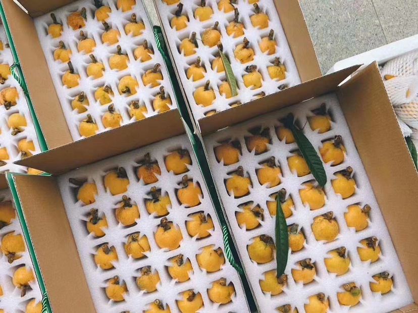 白玉枇杷电商销售现场