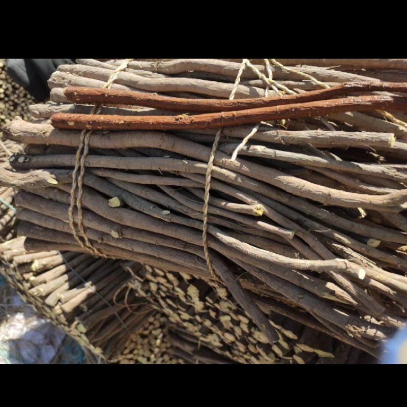 甘草正宗野生内蒙草原地道药食同源红皮黄心甘草纯新鲜干货