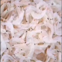 虾皮