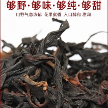 云南普洱无量山自然保护区国有林野生古树红茶散毛茶