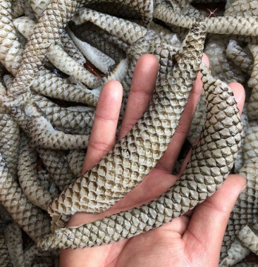 [鱼皮批发]冷冻生鱼皮凉拌鱼皮炸鱼皮食用水产新鲜冷冻海鲜鱼皮9斤