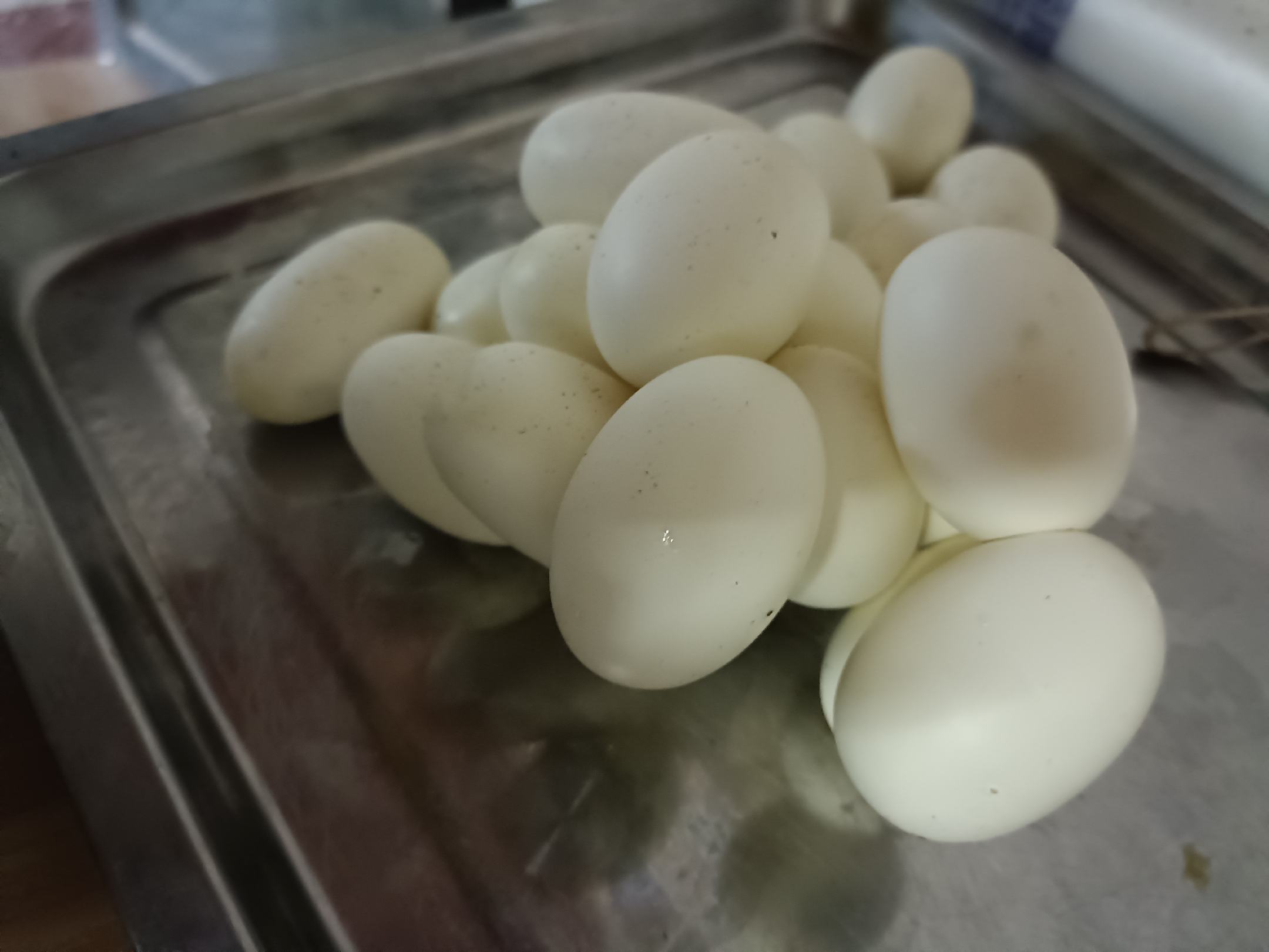 捞出水煮蛋放置盘中