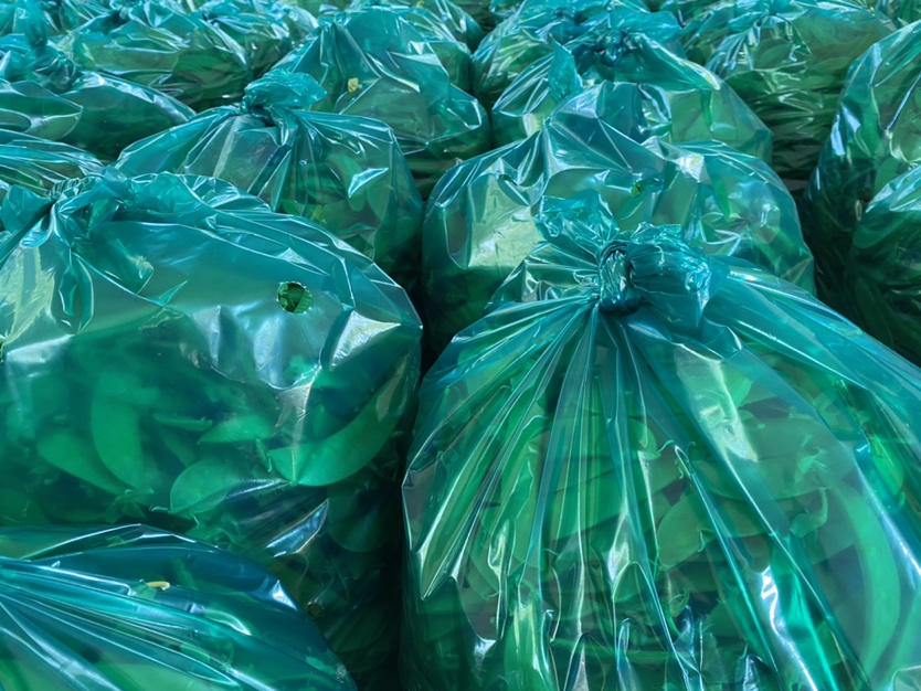 市场摊位上的荷兰豆与加工豌豆片对比陈列