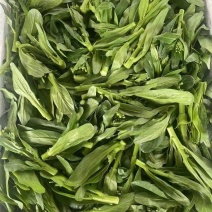 菜心苗