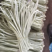 豆角一手货源白豆角甜诚邀批发商超市平台合作