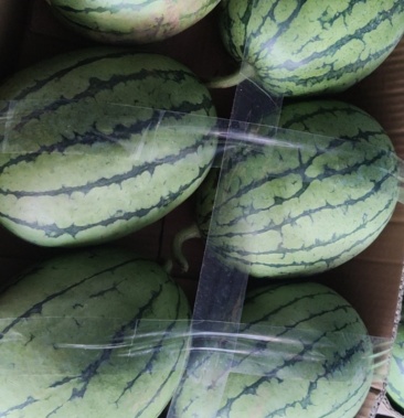 [西瓜批发]口口脆西瓜价格2.50元/斤 - 一亩田