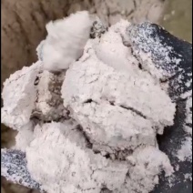 玉米油渣，便宜饲料原料，载体，填充。水分20左右
