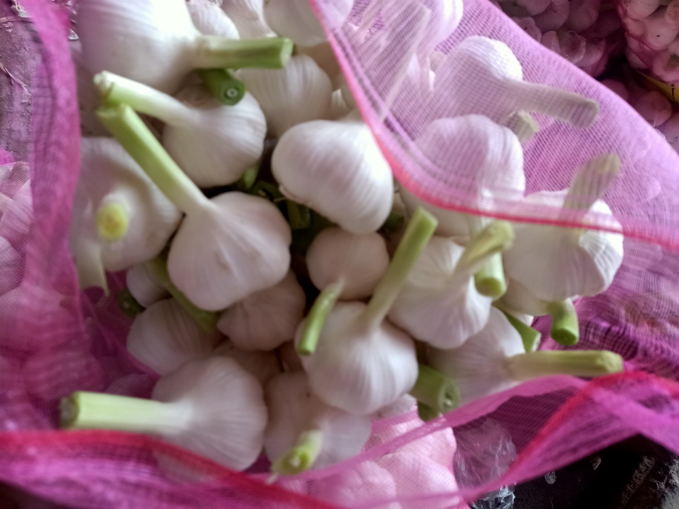 醋泡蒜成品特写：透明玻璃罐内，翡翠绿色蒜瓣整齐悬浮于澄澈琥珀色醋液中，液面平静无气泡，罐壁洁净无挂壁，背景为木质料理台与复古陶罐