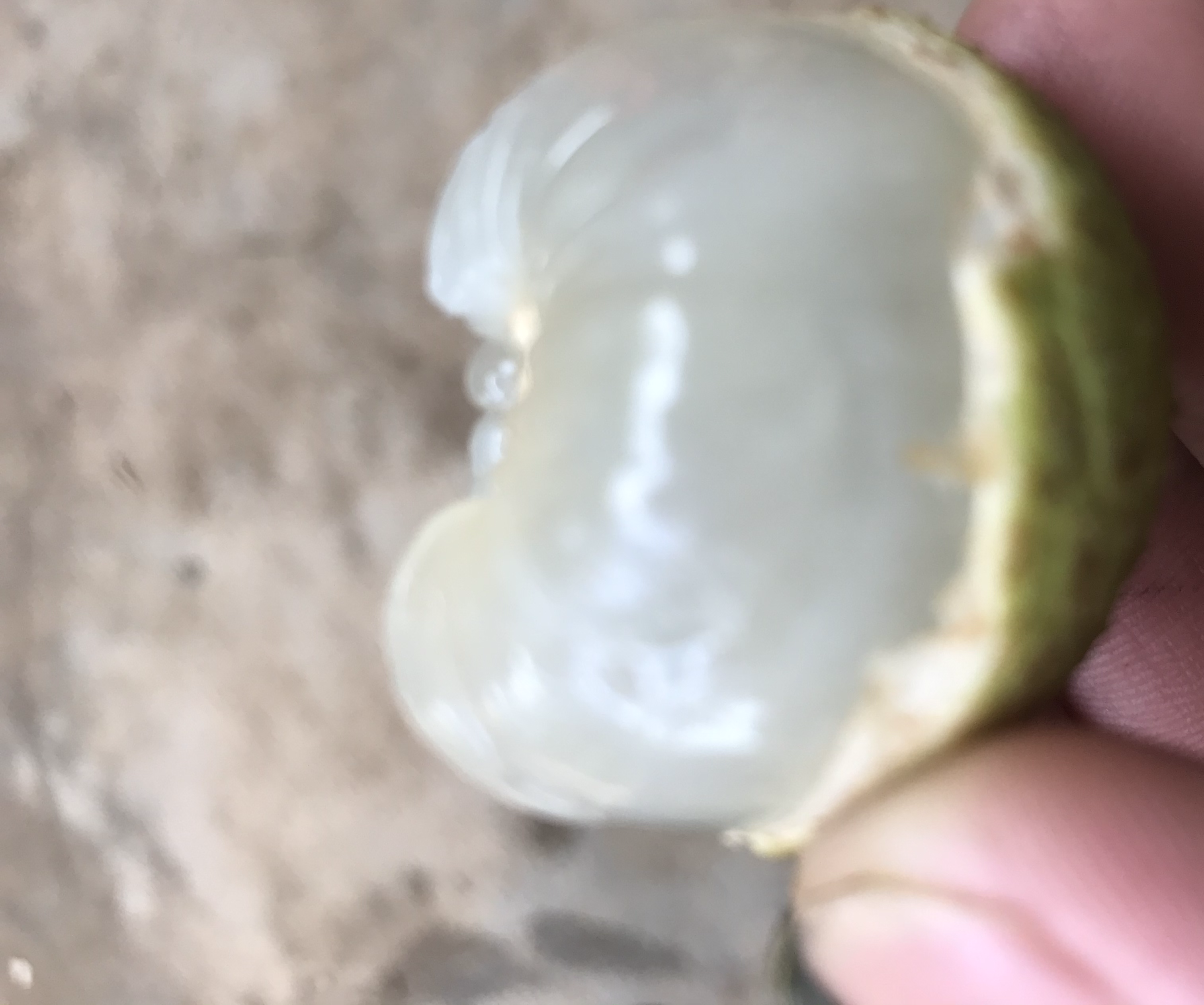 摆放在果盘中的三月红荔枝,色泽诱人,果肉清晰可见,旁边配有剥壳工具 三月红荔枝果盘摆拍