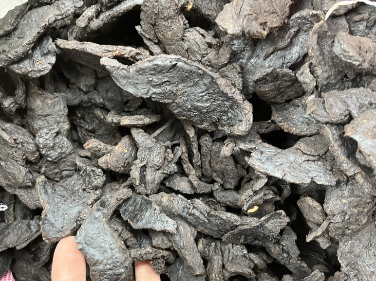 高清微距摄影:展示优质熟地黄饮片的典型性状——深褐色至黑褐色,质地柔润致密,断面可见明显黏液质纹理,无焦糊斑与霉变,符合《中国药典》2020年版对‘熟地黄’性状项描述 熟地黄药材特写:棕黑色油润切片,表面微有光泽,断面细腻呈胶质样,边缘略卷曲,置于传统青花瓷药皿中