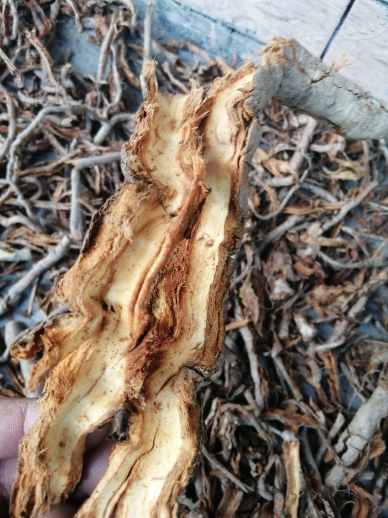 五味子根 南五味子根皮 野生中药材 一手货源 产地直供