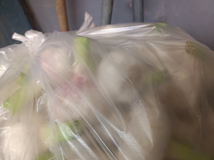 超市货架上陈列的各类大蒜产品包装示意图