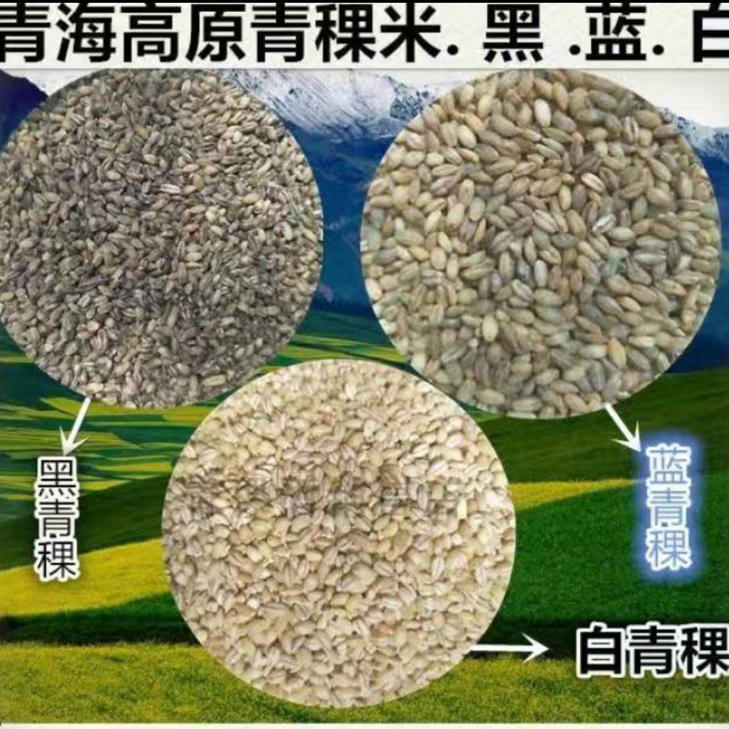 [青稞批发]江西上饶广丰区青稞 6.80元/斤白青稞米蓝青稞米精 _ 一亩田