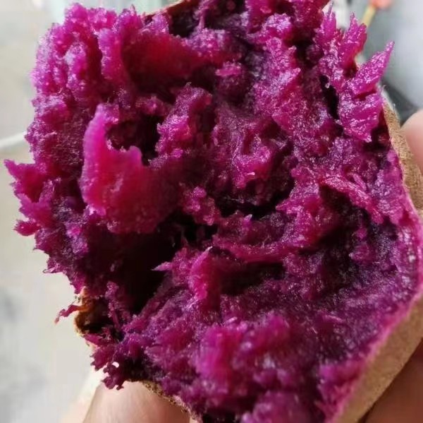 紫薯切开后的内部结构